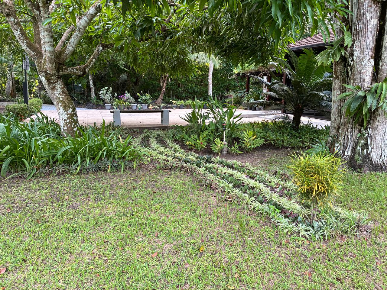 Plantas organizadas