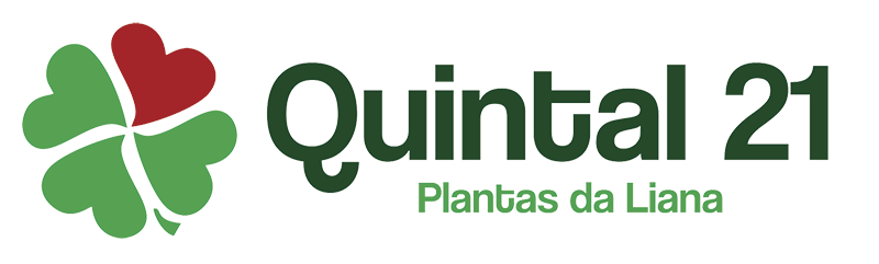 Quintal 21 — Plantas da Liana