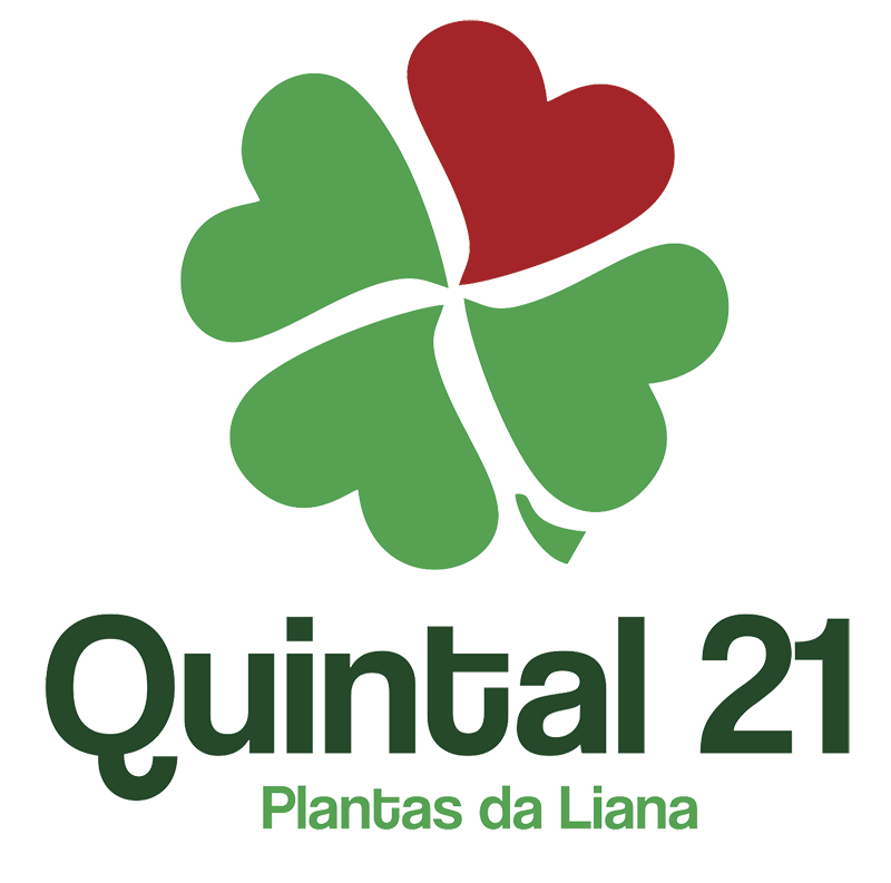Quintal 21